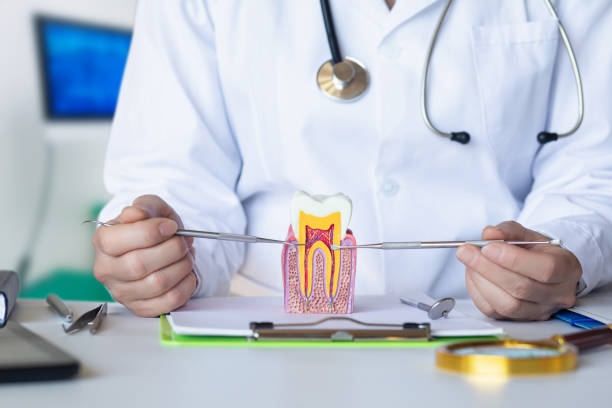 , IN Emergency Dental Service Company